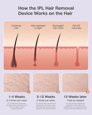 INNZA Laser Hair Removal, IPL Painless Permanent Hair Removal, Facial Hair Remover for Armpits Legs Arms Bikini Line, Purple